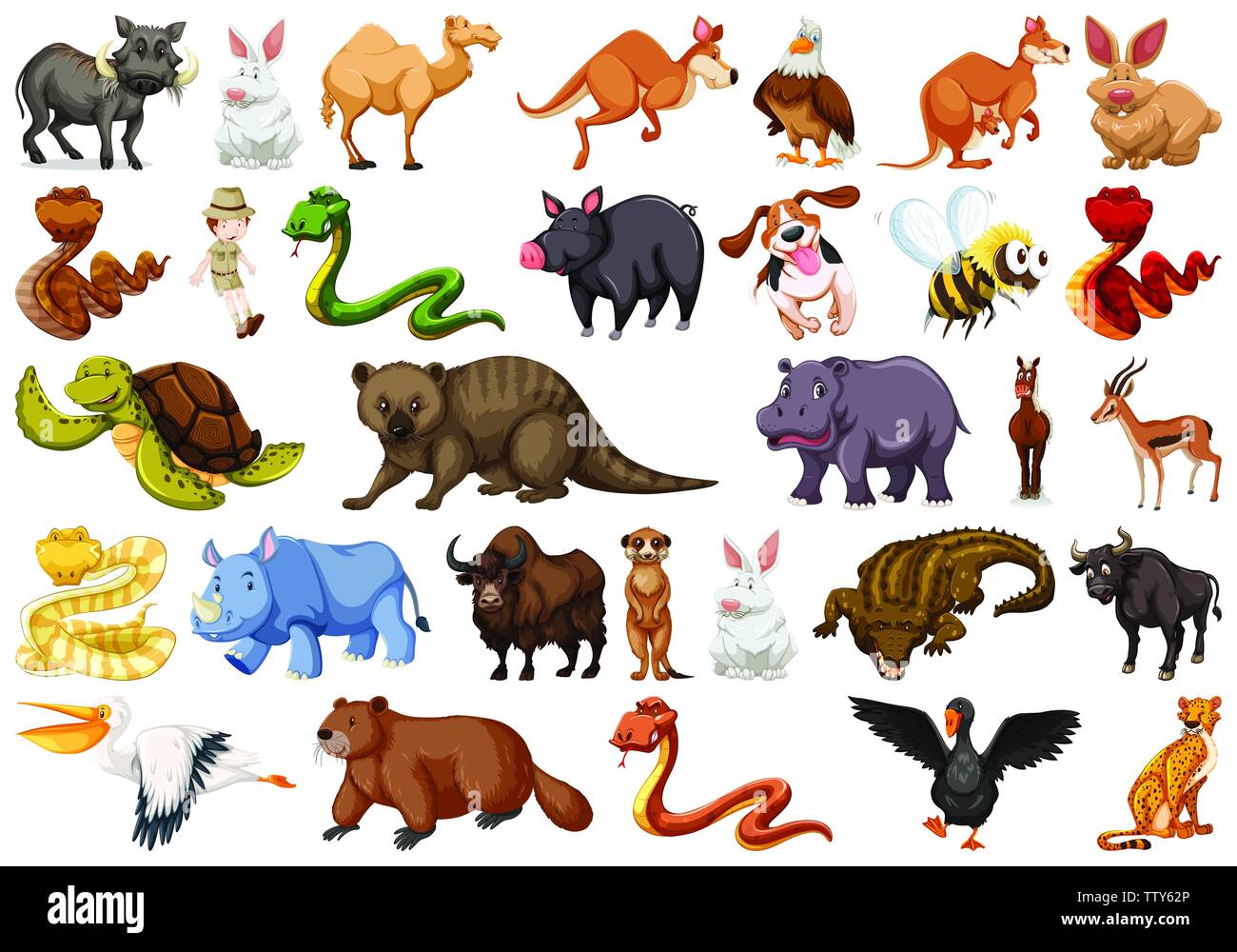 Set of wild animals illustration Stock Vector Image & Art - Alamy