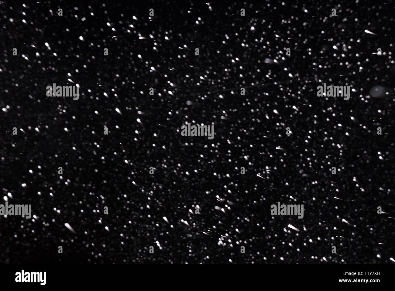 Snowfall in winter on black background Stock Photo
