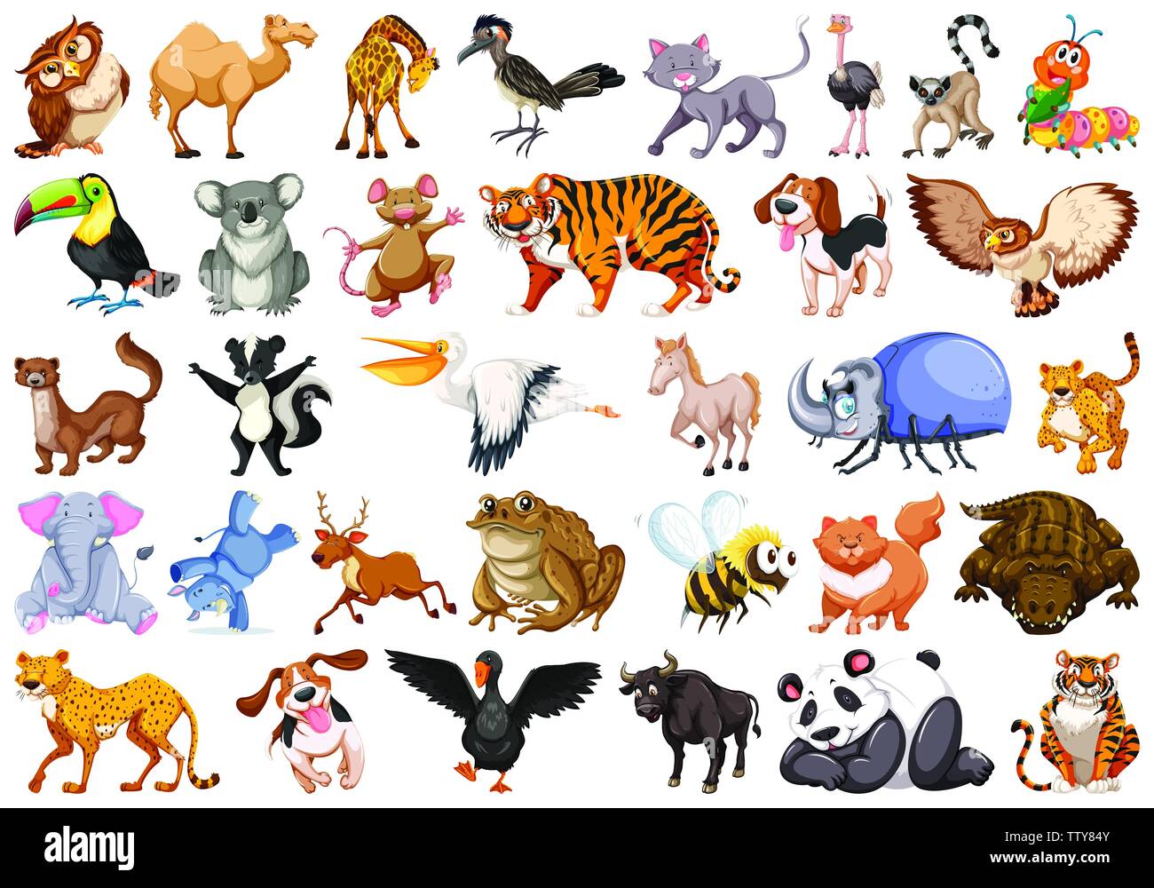 Set of wild animal illustration Stock Vector Image & Art - Alamy
