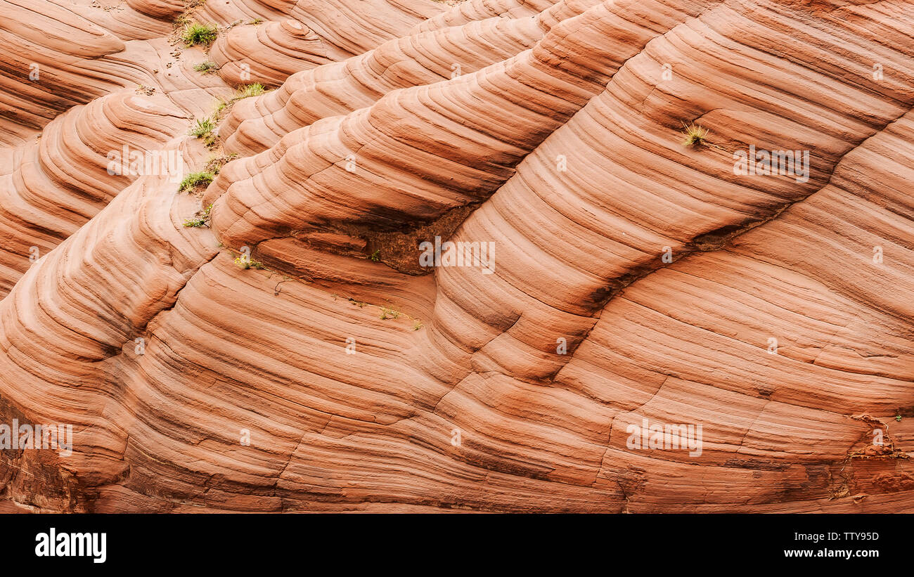The Valley of the Danforth Stock Photo - Alamy