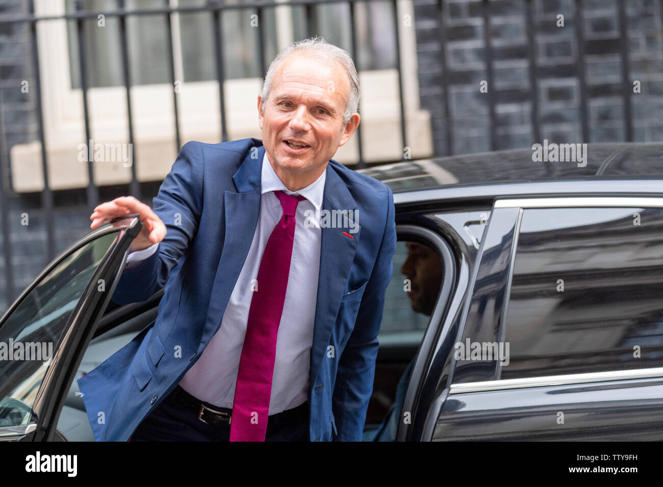 London, UK. 18th June, 2019. David Lidinton MP PC, Cabinet minister arrives at a Cabinet meeting at 10 Downing Street, London Credit: Ian Davidson/Alamy Live News Stock Photo