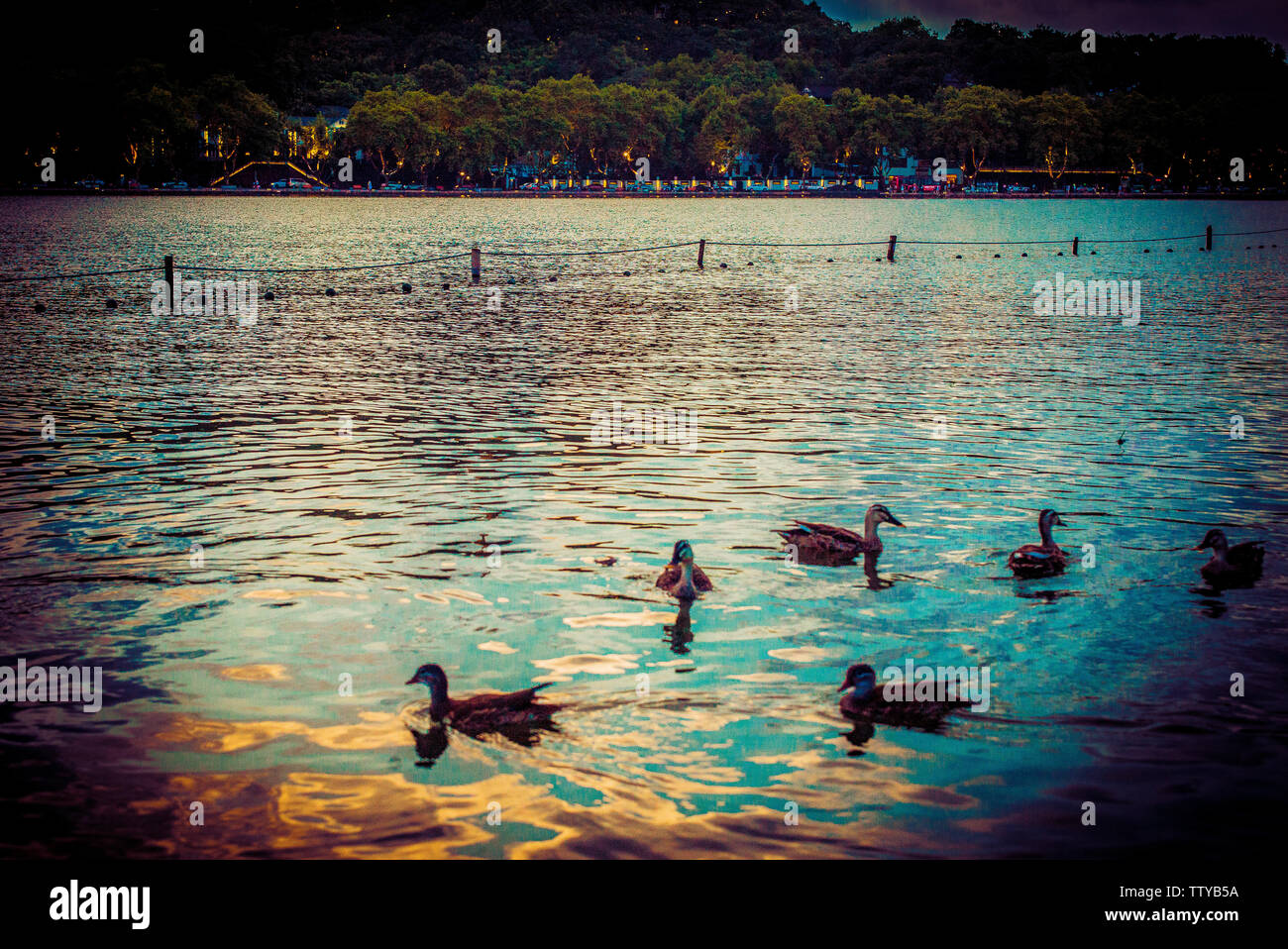 Photographs with West Lake Stock Photo - Alamy