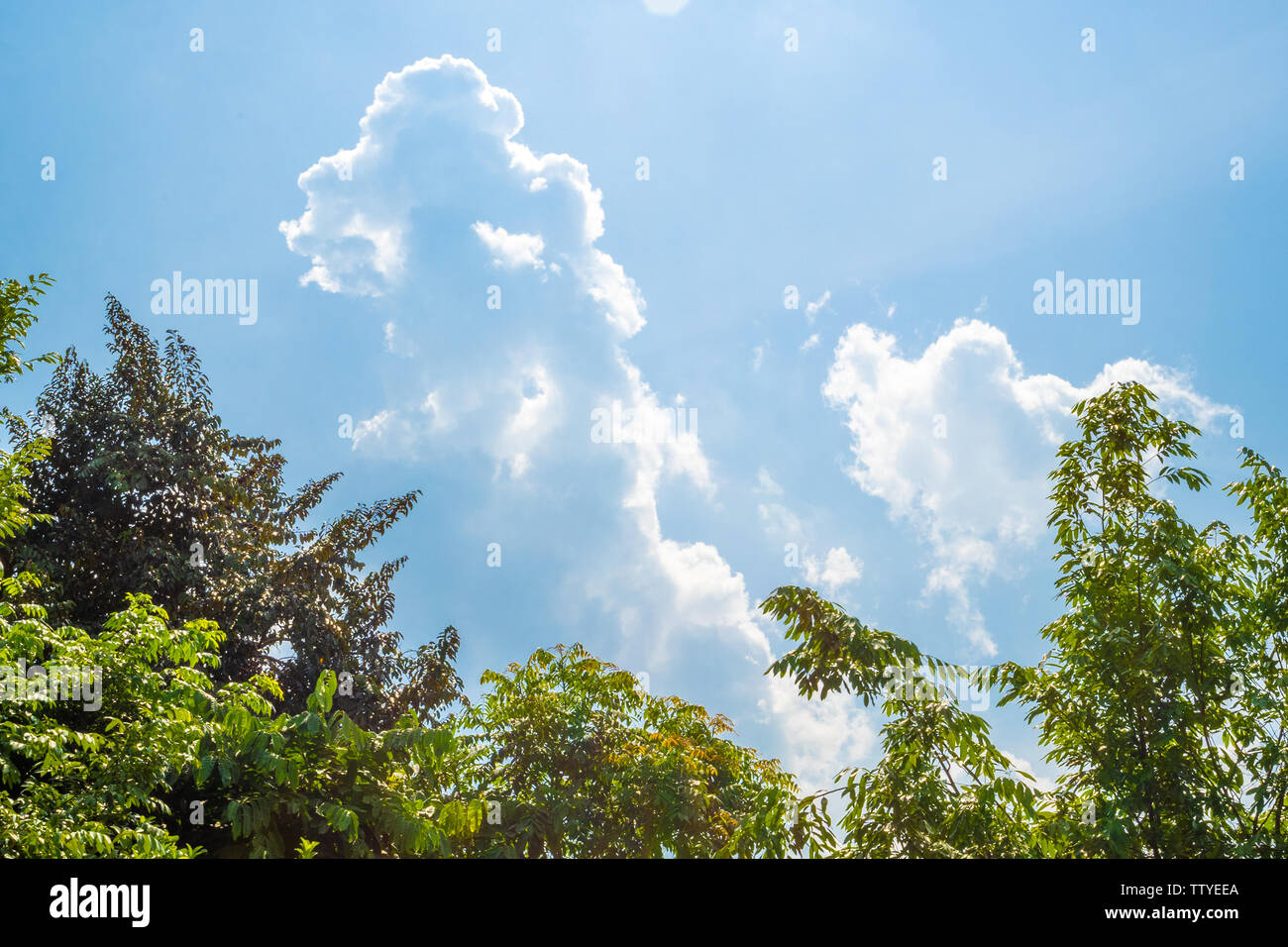 Sunny blue sky with soft clouds and bright sun against green trees ...