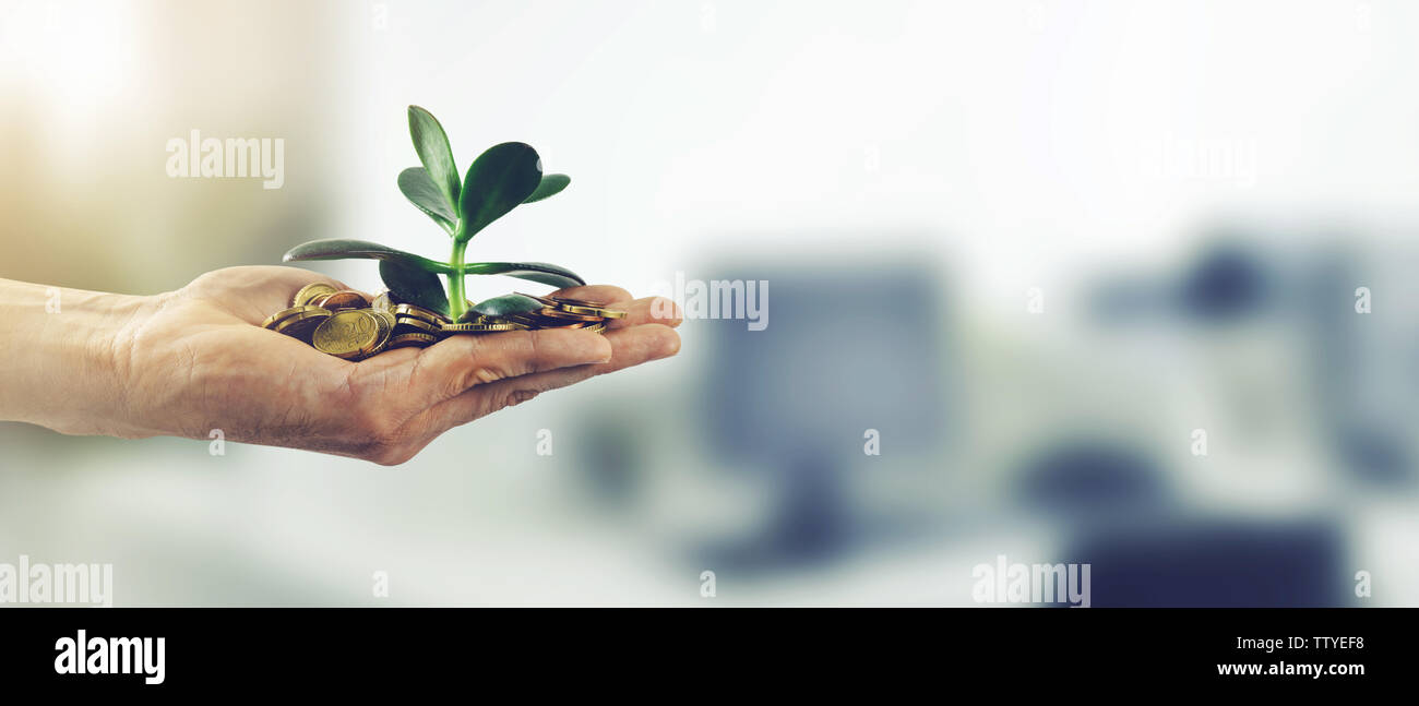 money investment business success concept. hand with coins and plant. copy space Stock Photo