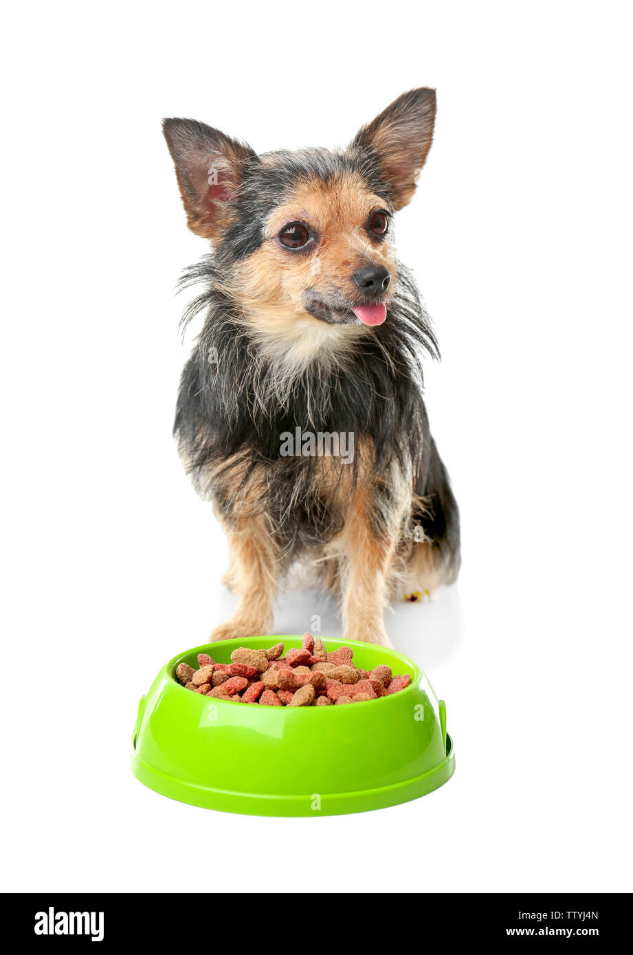 little people safari train