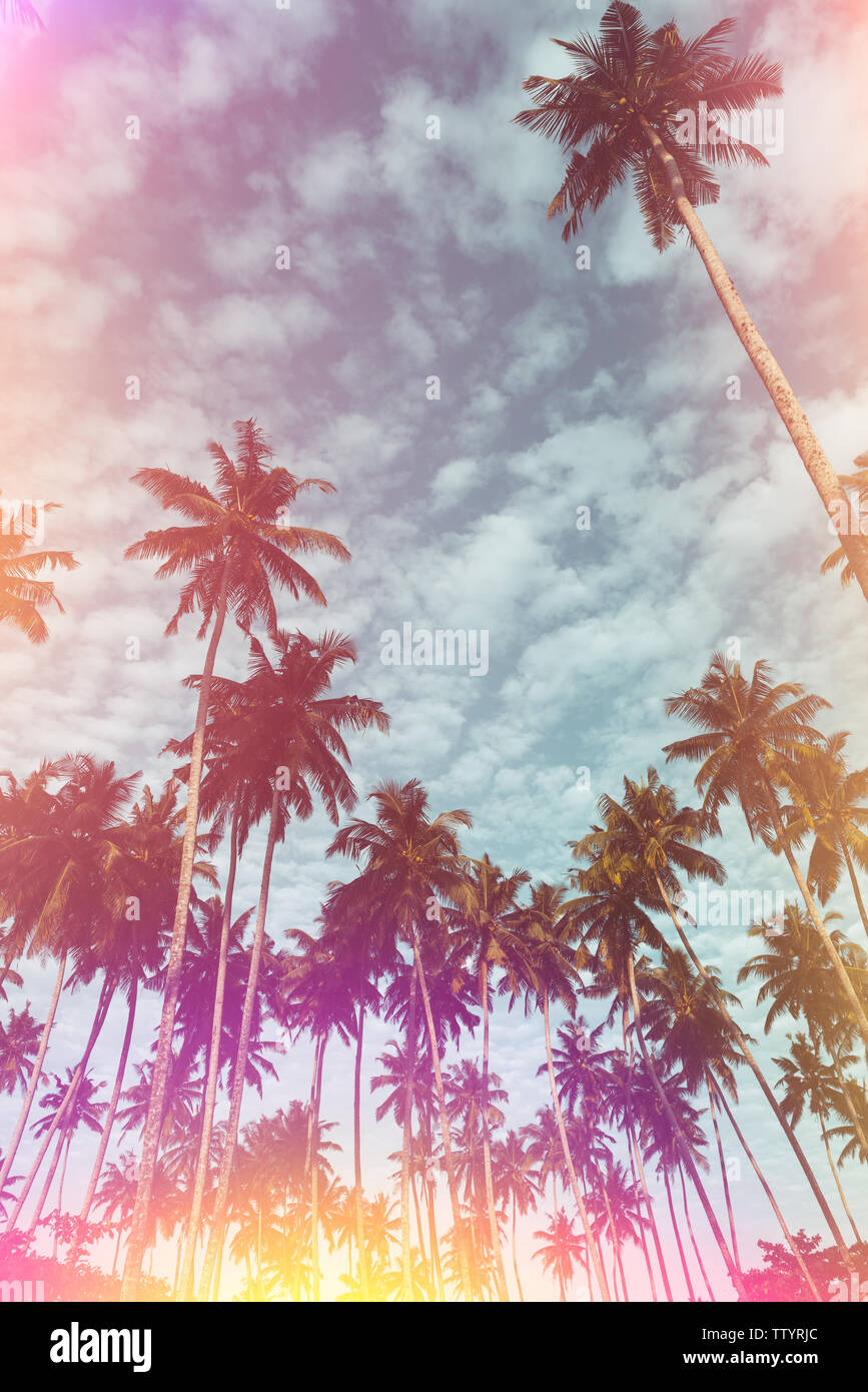 Coconut palm trees on tropical beach vintage toned Stock Photo - Alamy