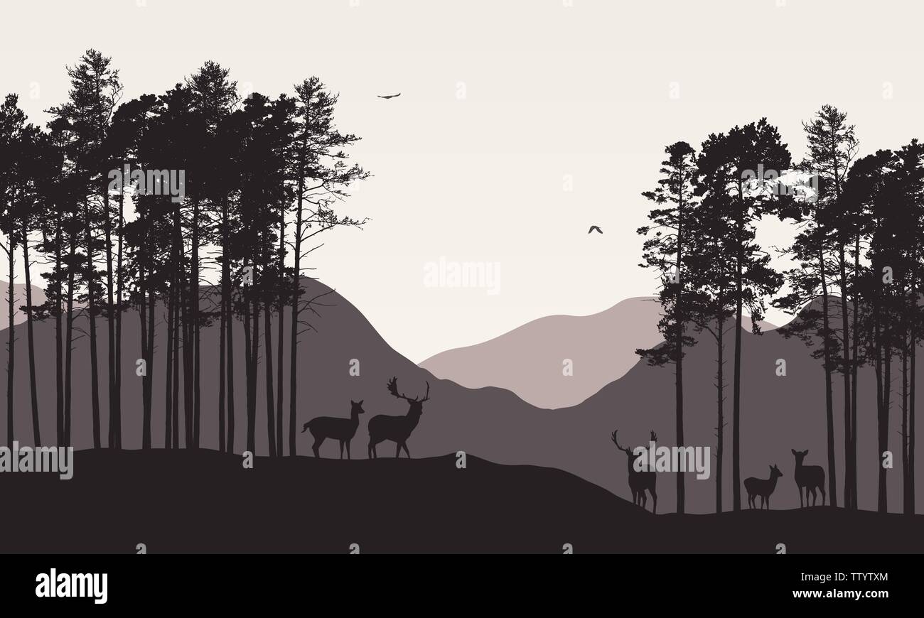 Realistic illustration of mountain landscape with coniferous forest ...