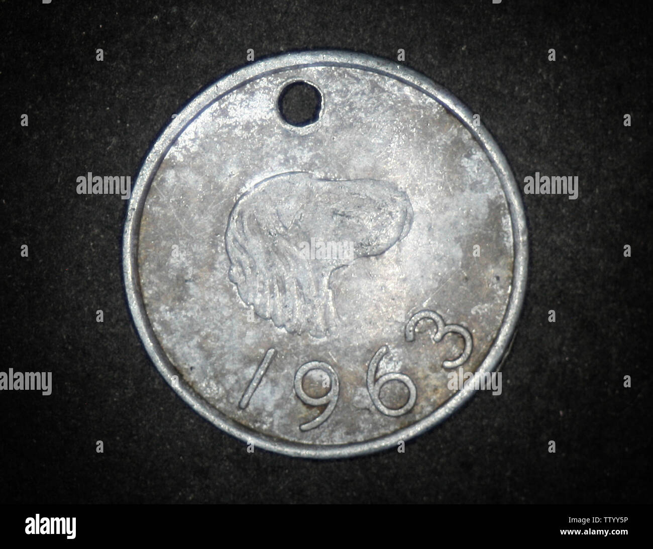 Dog collar / tag / license, Caledon, South Africa, 1963 Stock Photo Alamy