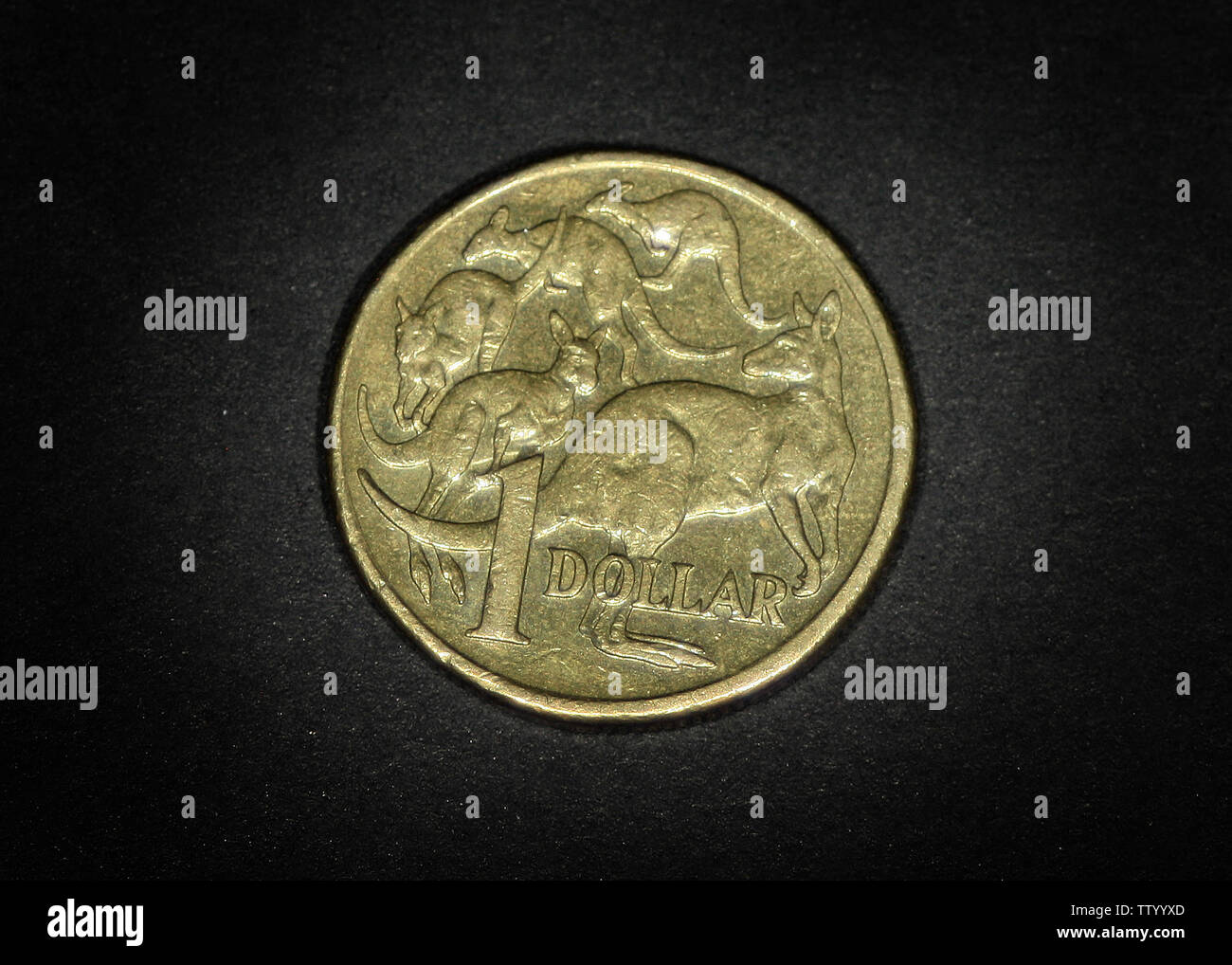 Australia 1 dollar (1984) Stock Photo