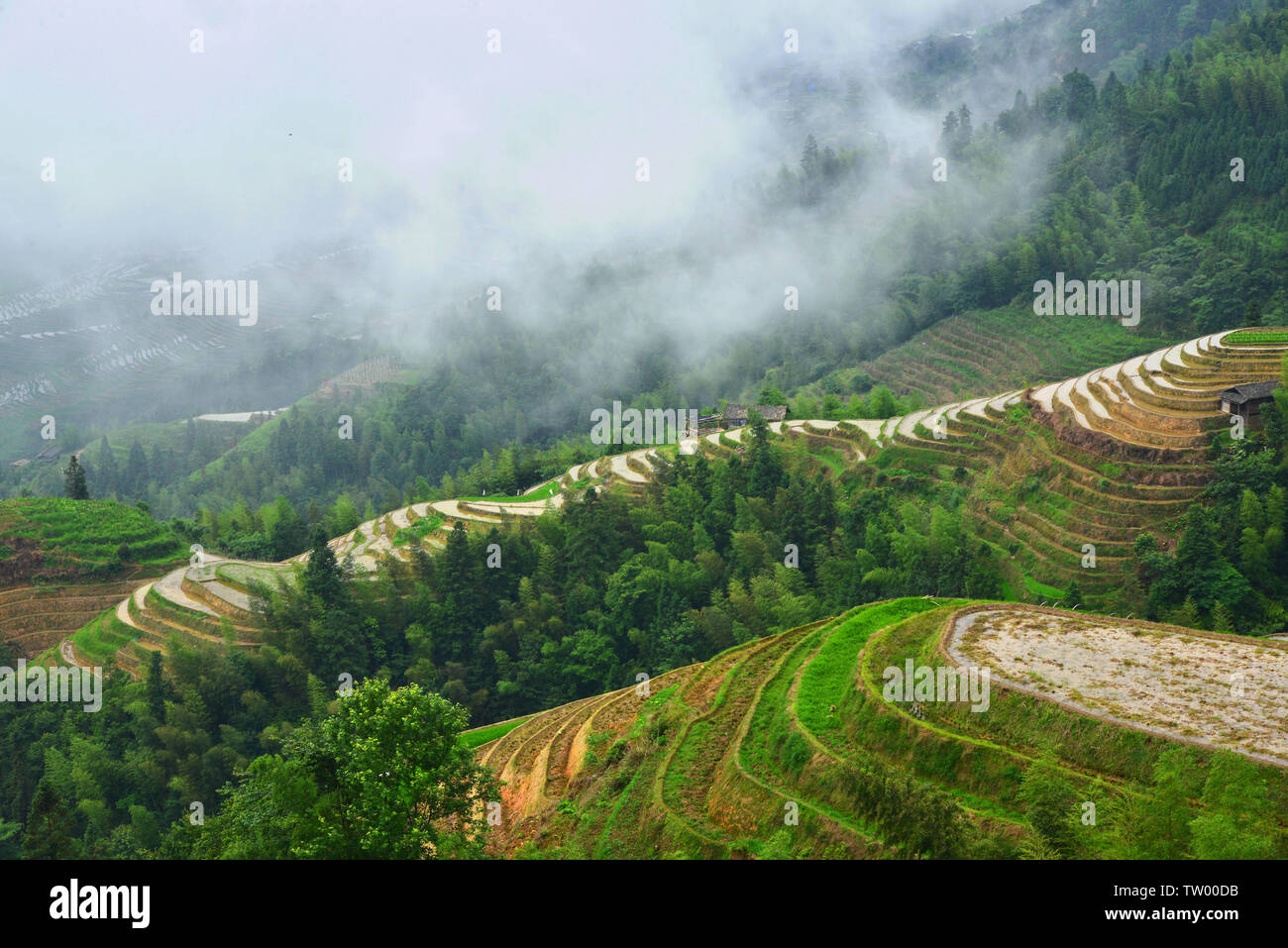 The dragon ridge terraces in Guangxi are picturesque Stock Photo - Alamy