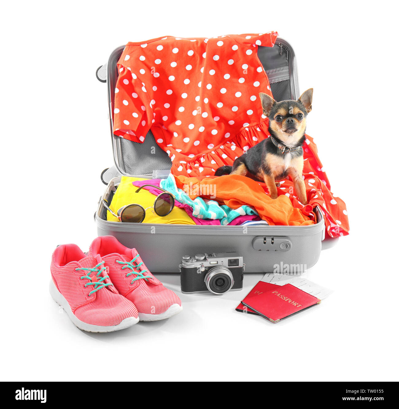 Pet animal dog trip suitcase Cut Out Stock Images Pictures Page 2 Alamy