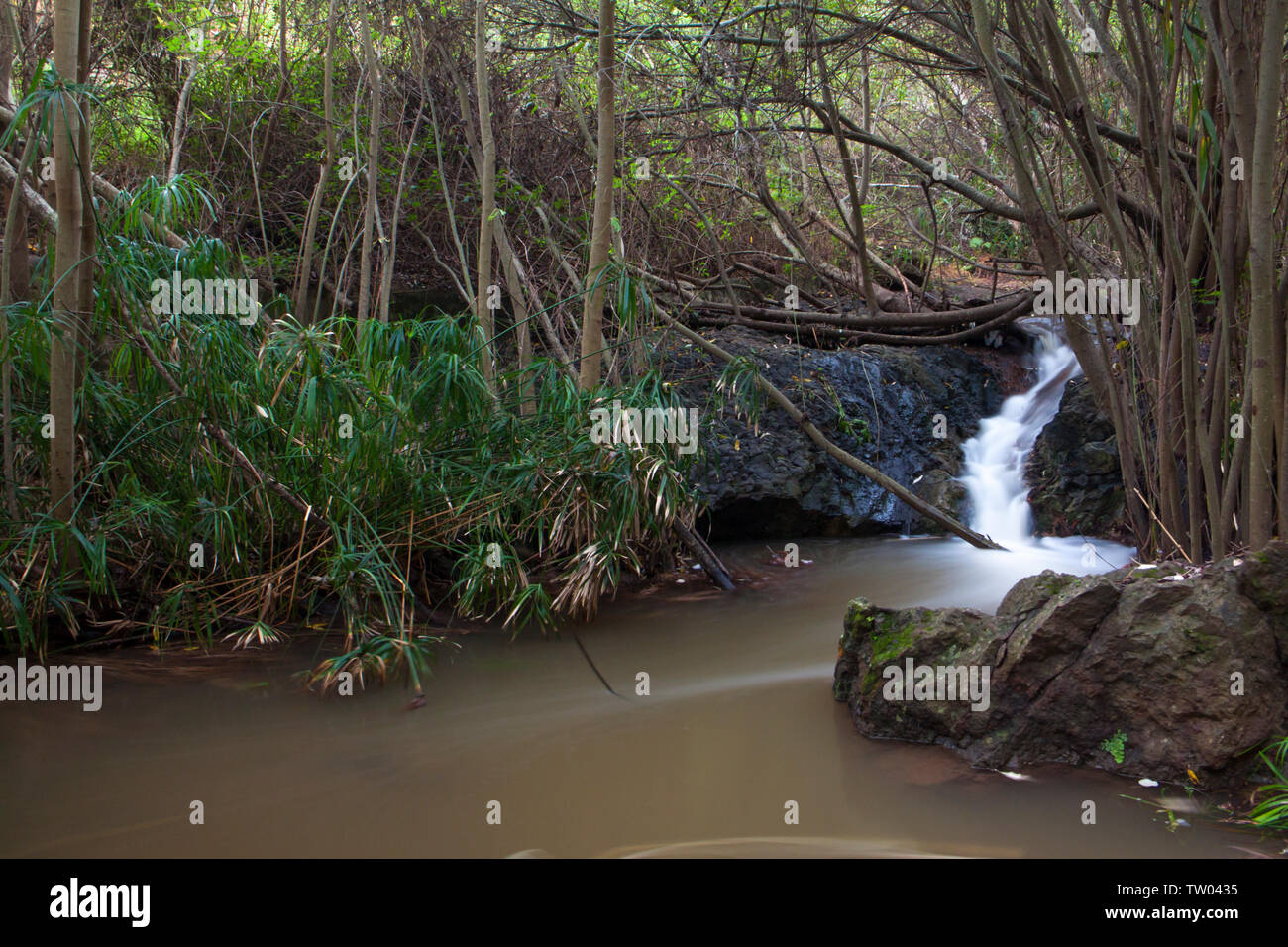 Barranco de Azuaje, Gran Canaria, Spain - Stock Image