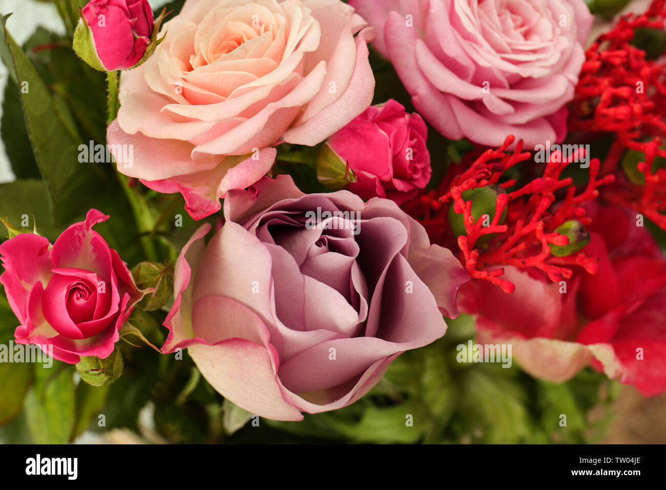 Beautiful fresh flowers background Stock Photo Alamy