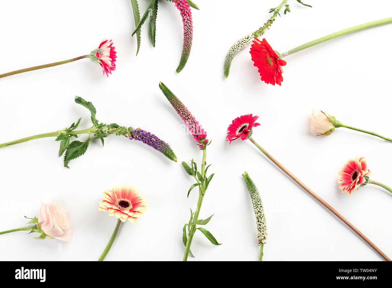 Beautiful fresh flowers on white background Stock Photo - Alamy
