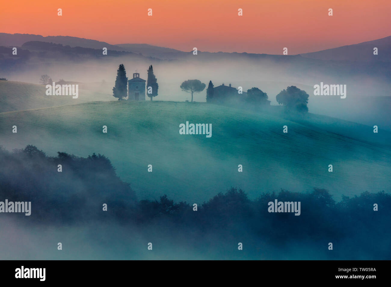 Tuscany valley at misty morning in springtime Stock Photo - Alamy