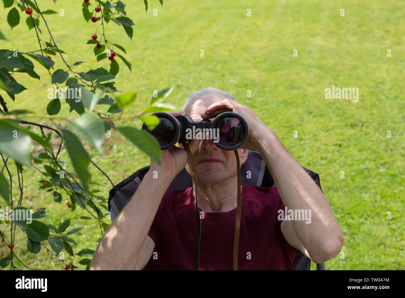 Binocular vision hires stock photography and images Alamy