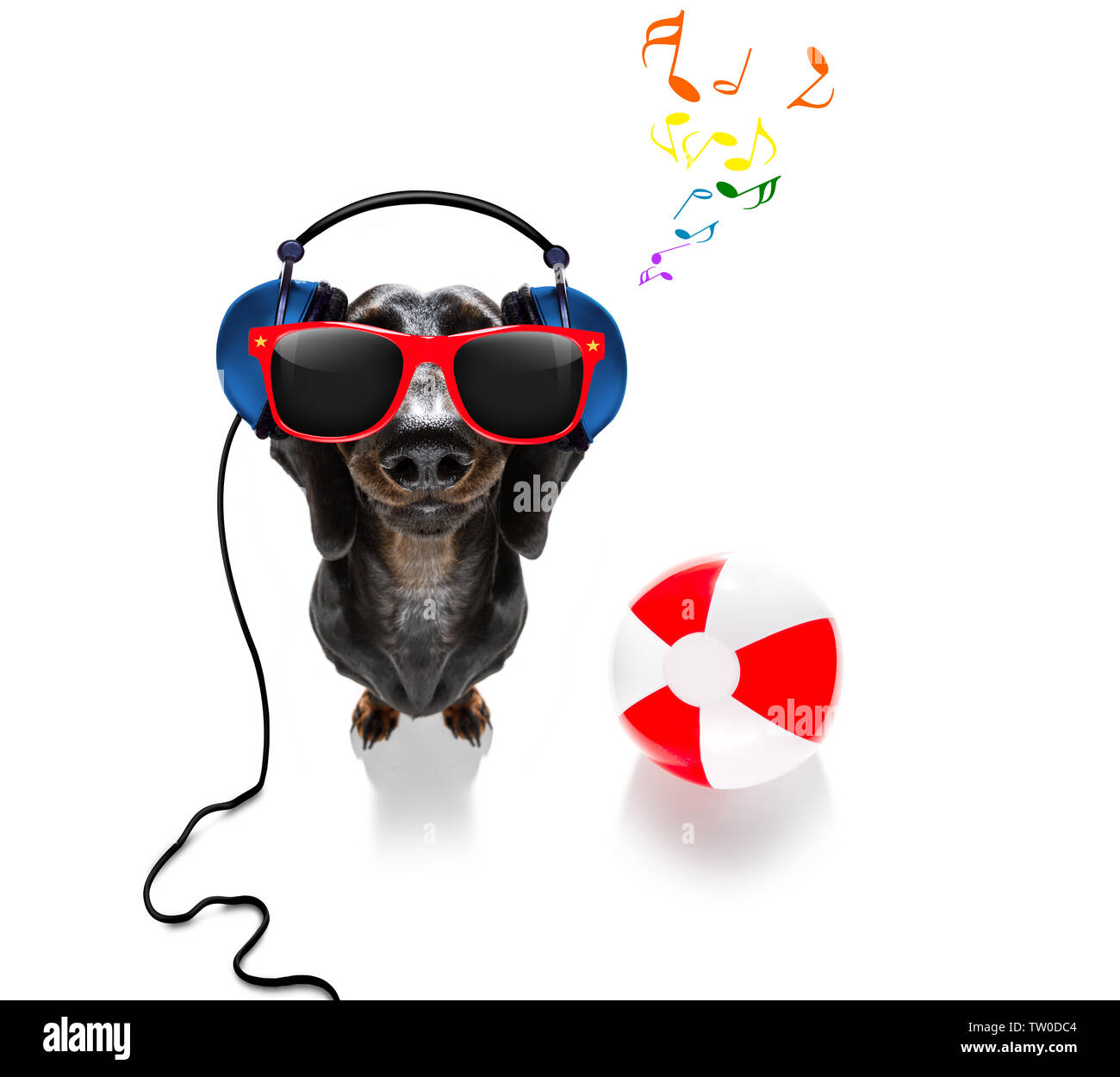 Dog with headphones, cap and cool music glasses - Dog With