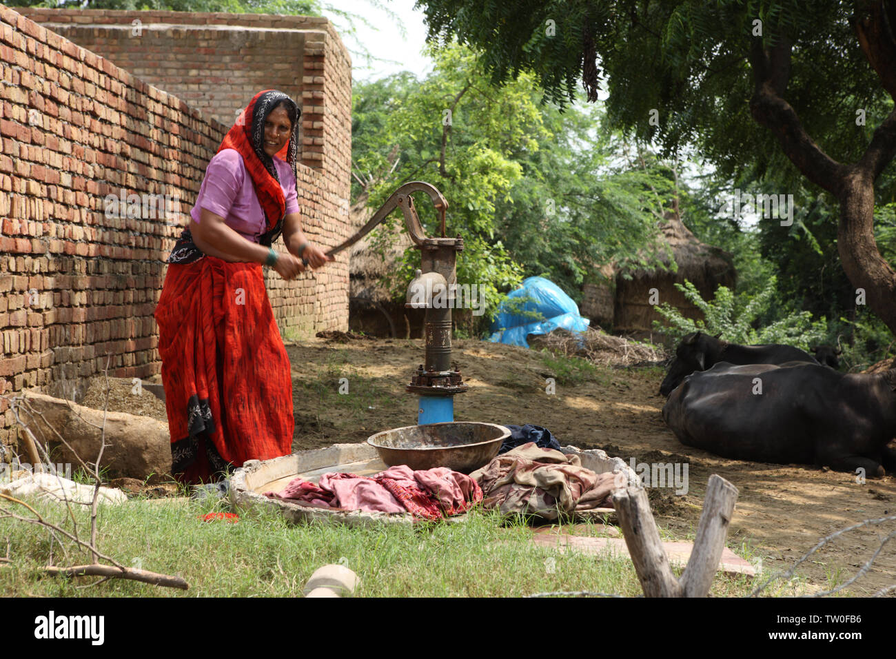 Woman drawing water from a water pump, India Stock Photo