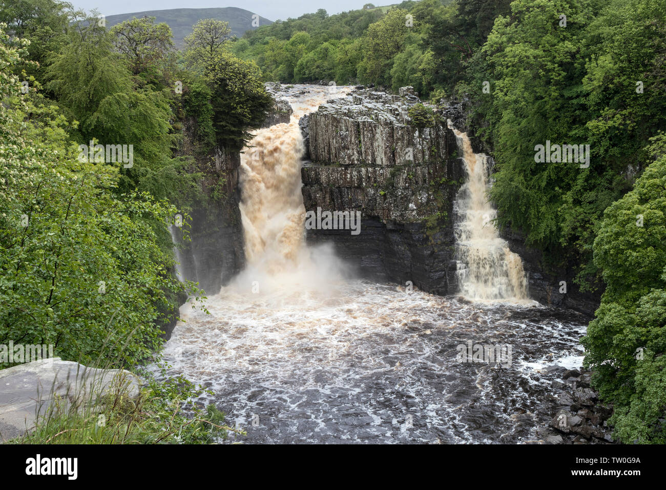 High Force in Spate, Upper Teesdale, County Durham UK Stock Photo