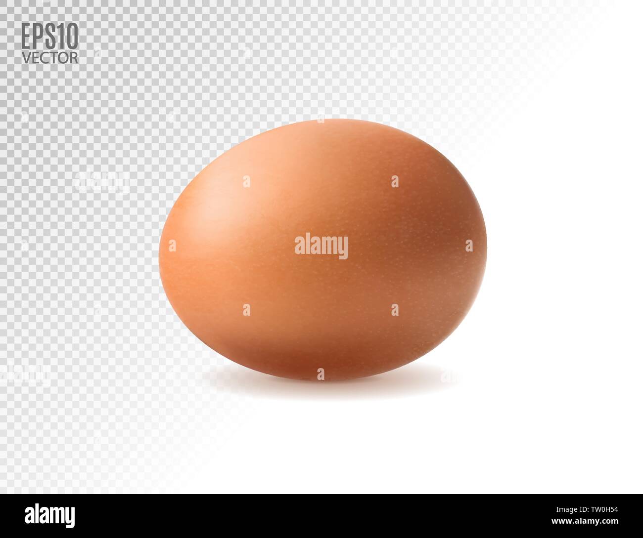 Premium Vector  Set of vector painted eggs png realistic eggs on an  isolated transparent background easter png