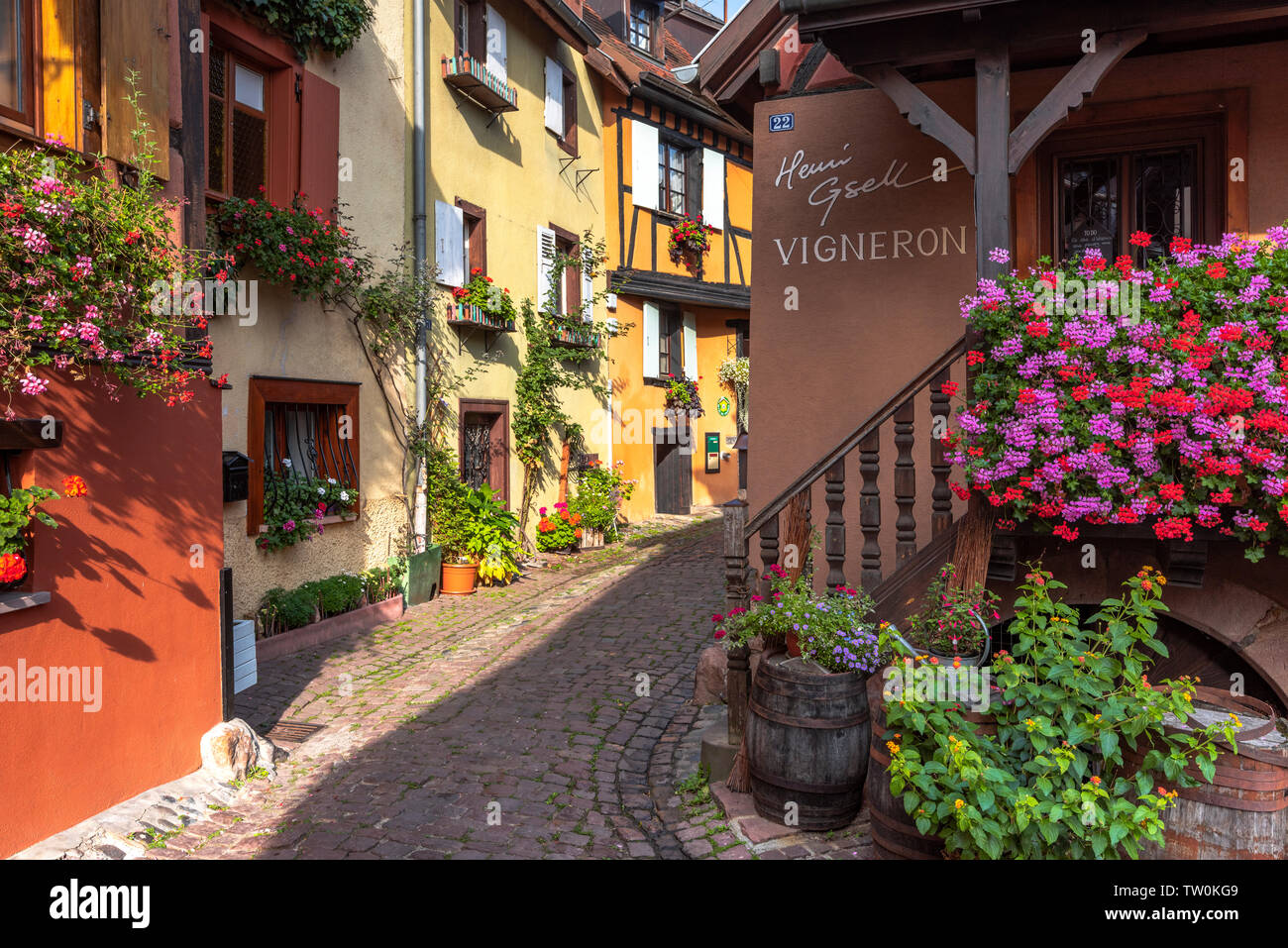 small old village Eguisheim, Alsace, France, narrow lane and winery with wooden barrels Stock Photo