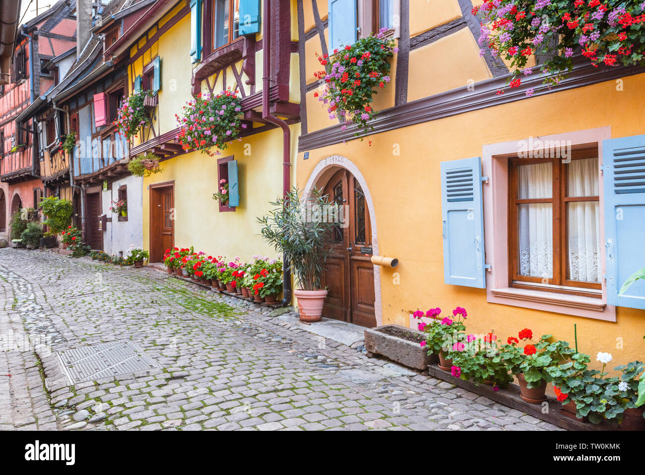 old colorful houses of Eguisheim, Alsace, France, timber frame architecture over the lane Stock Photo