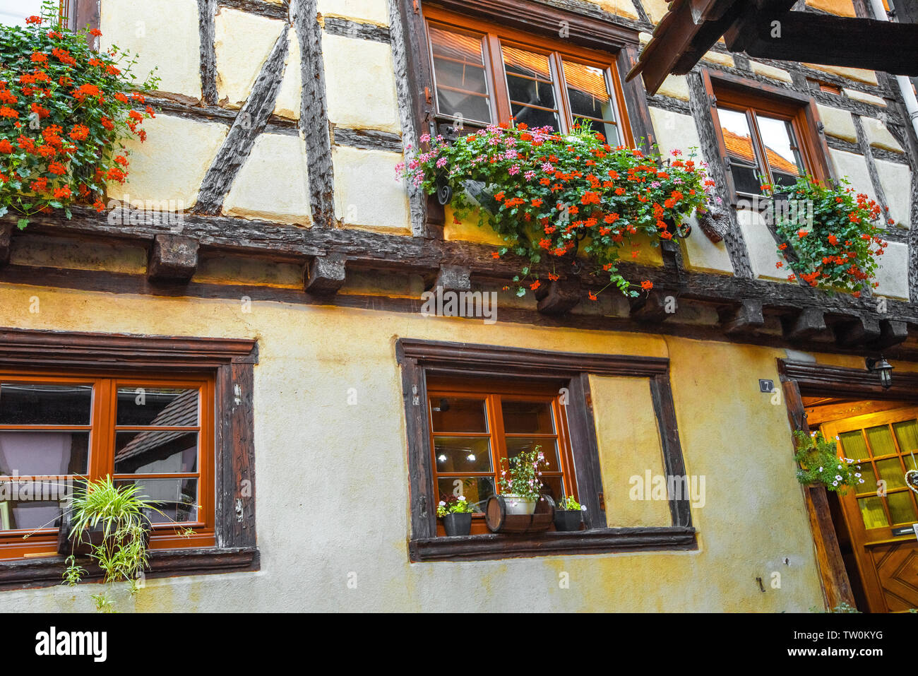 Eguisheim, Alsace, timbered house with typic flower decoration, France Stock Photo
