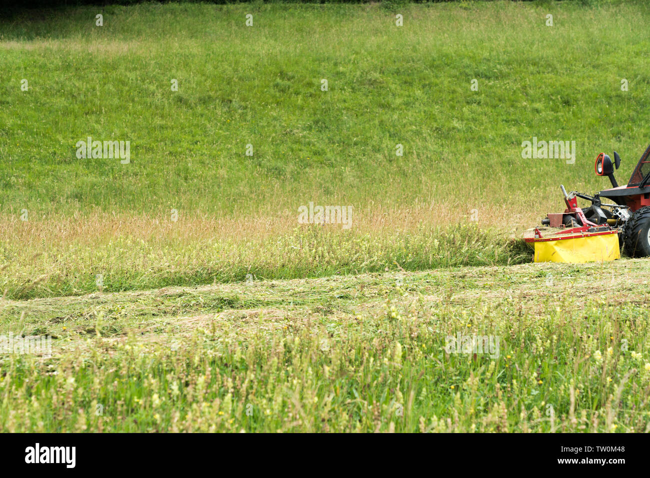 detail view of a small tractor with mower in front cutting a steep