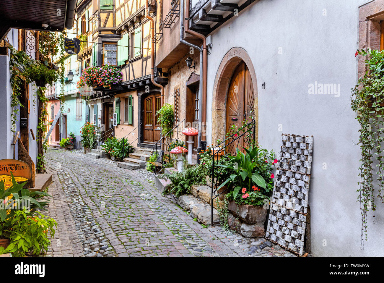 houses in the small old village Eguisheim, Alsace, France, lane with timbered houses and flower decoration Stock Photo