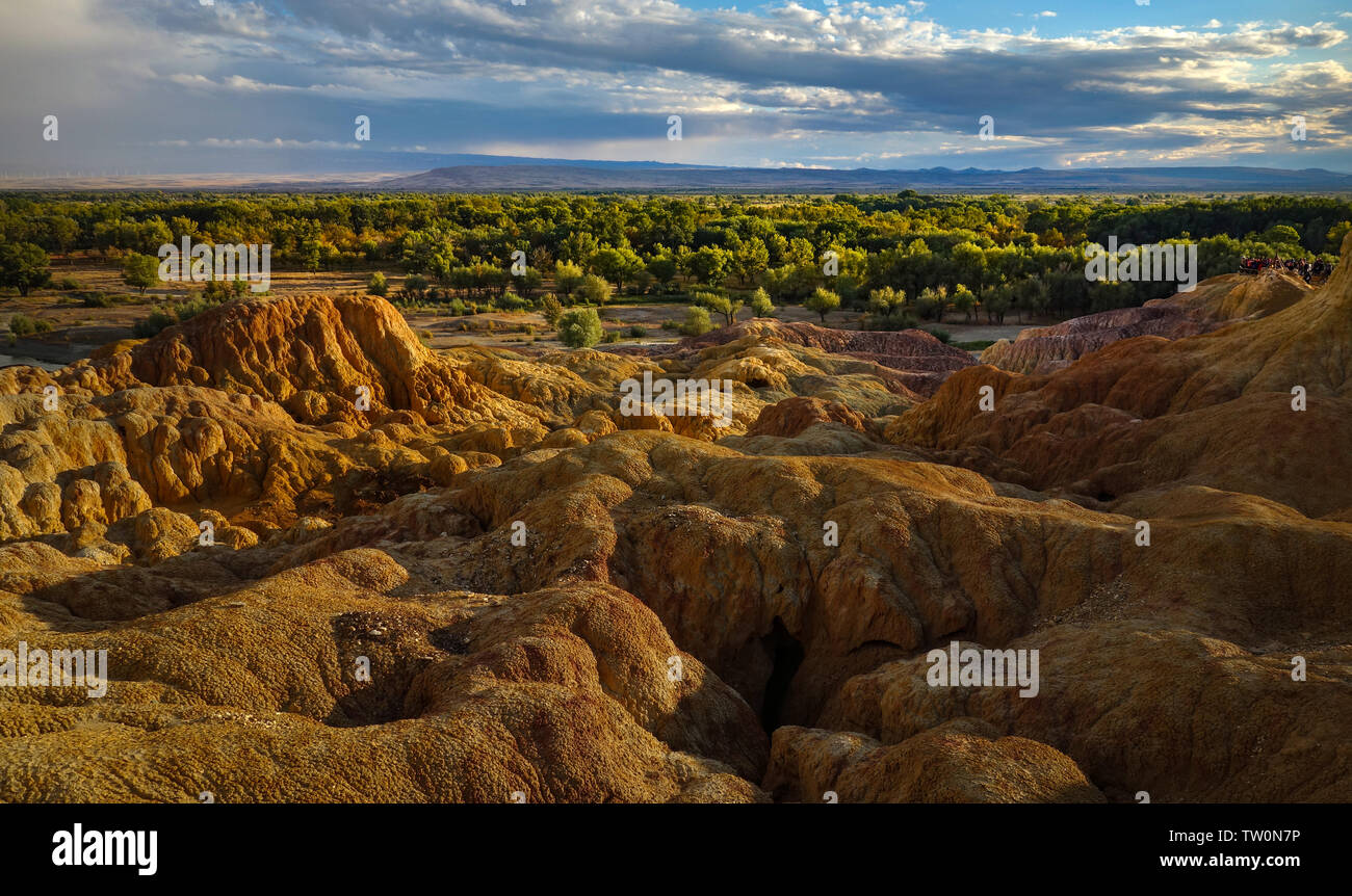 Colorful beach scenery Stock Photo - Alamy