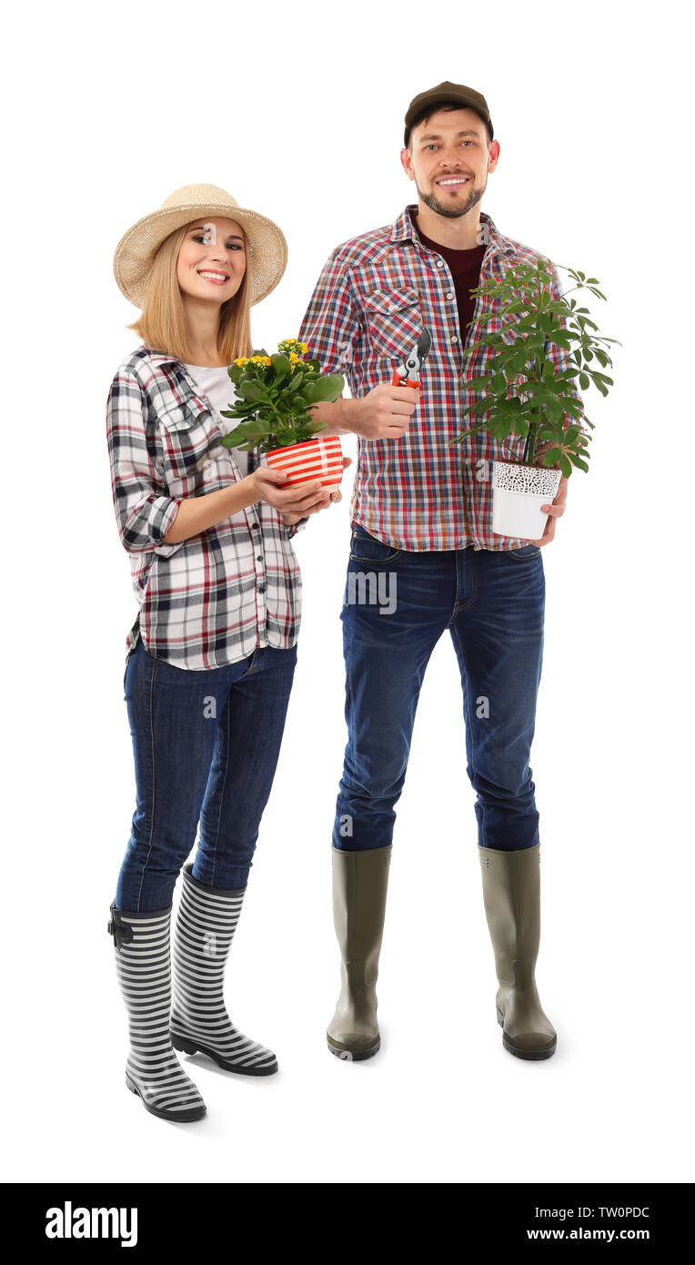 Two florists holding house plants isolated on white background Stock Photo