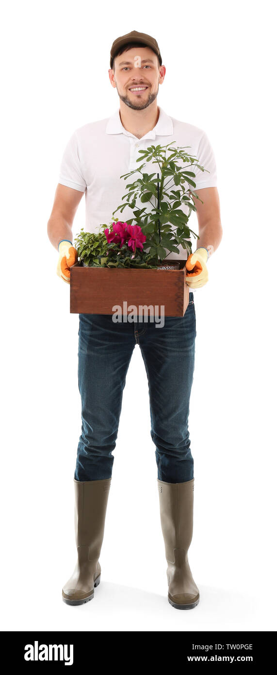 Male florist holding wooden box with house plants on white background Stock Photo