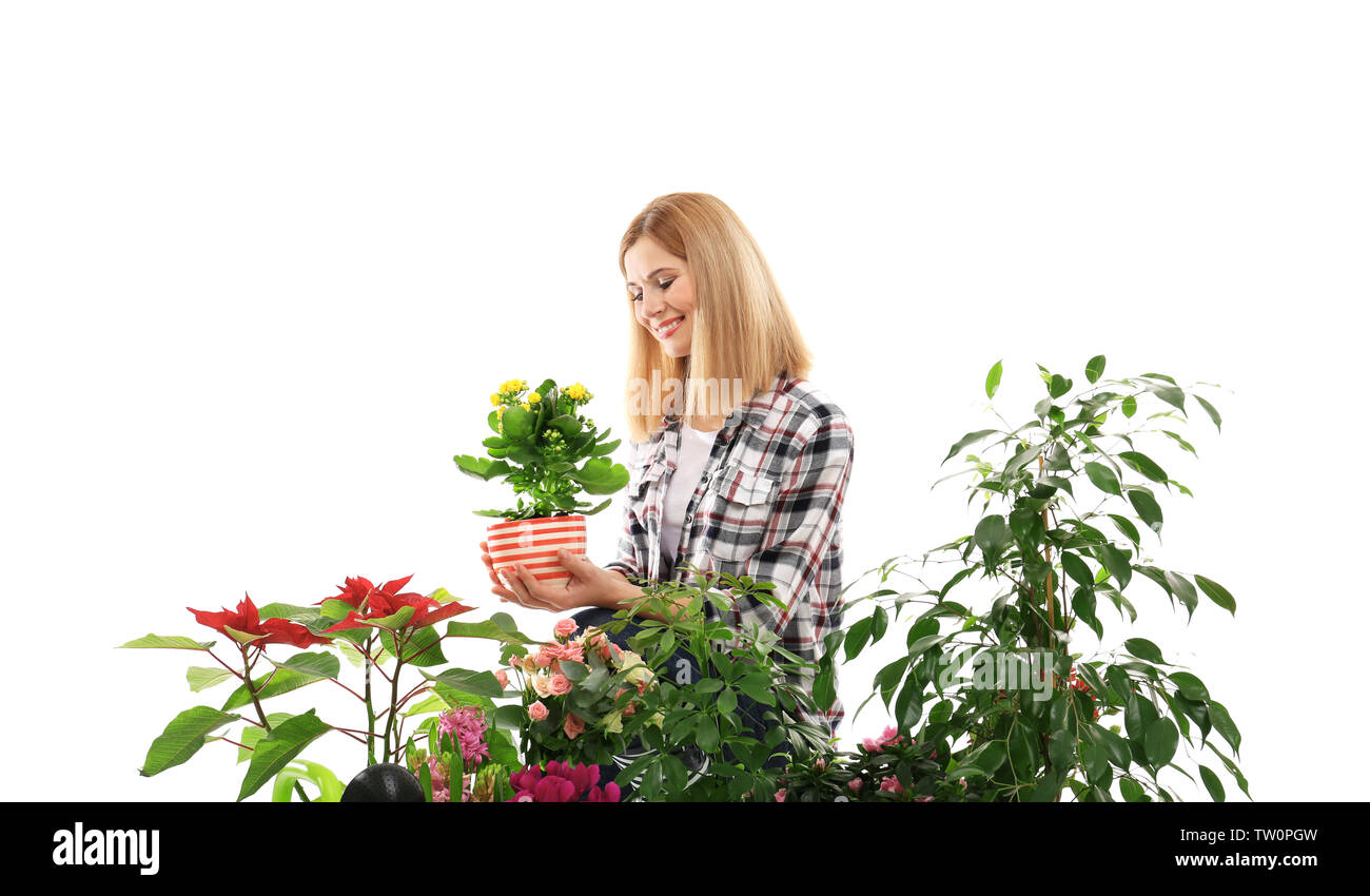 Female florist with beautiful house plants isolated on white background Stock Photo
