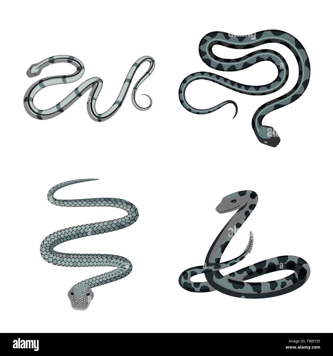 Vector Vectors Stock Vector Image & Art - Alamy