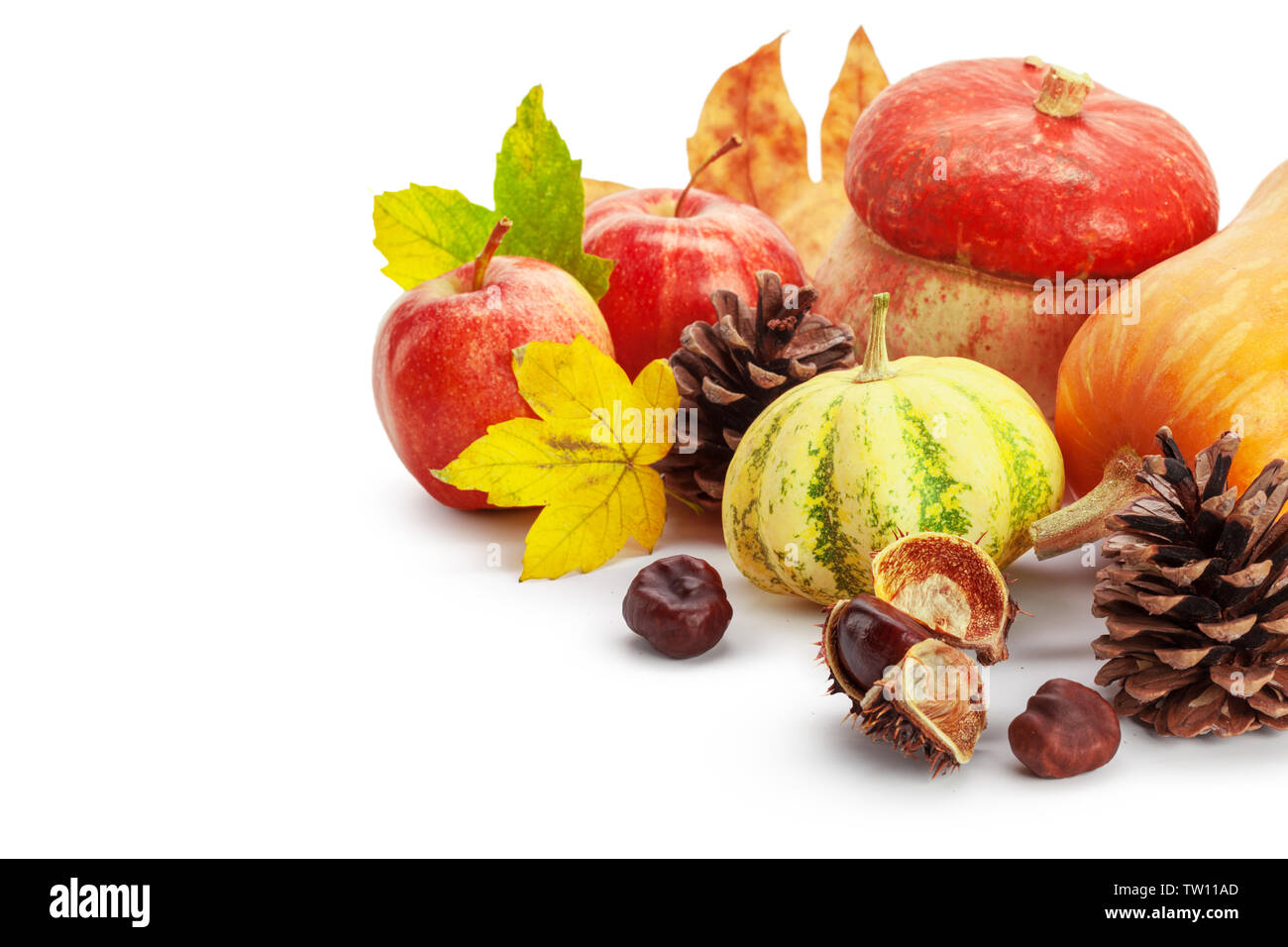 Autumn display with pumpkin and leaves isolated on white background ...