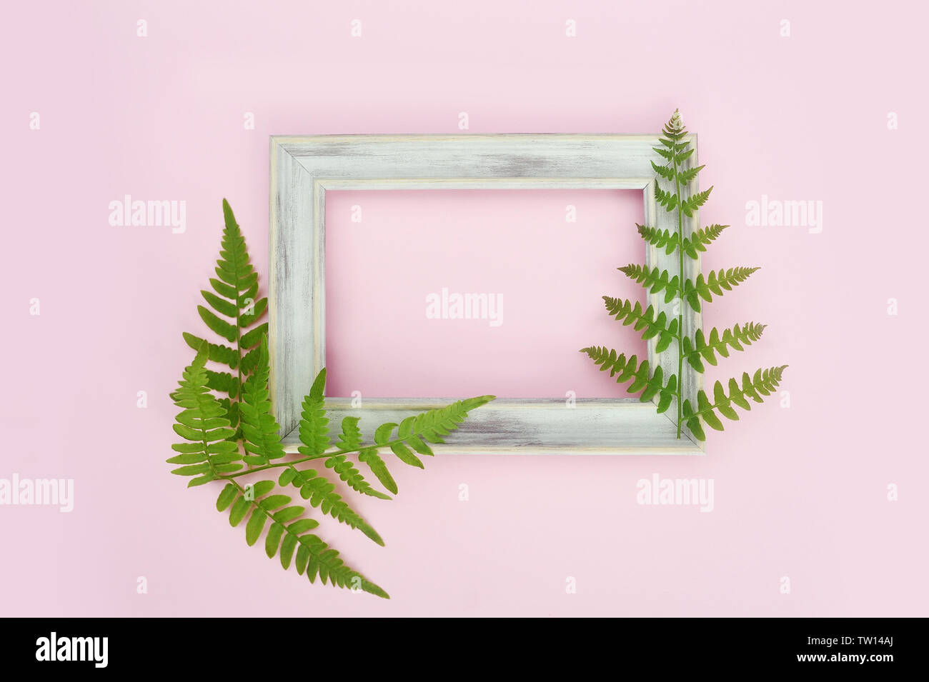Wooden white photo frame and green leaves on gentle pink background. Flat lay, top view, copy space. Flower card, greeting, holiday mockup Stock Photo