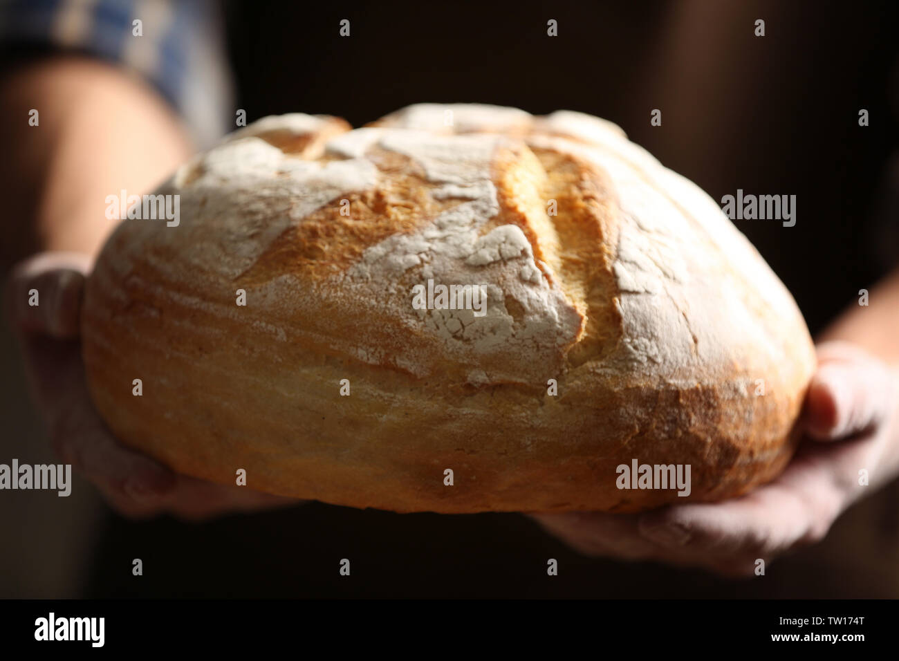 Male hands holding freshly baked wheaten bread, closeup Stock Photo