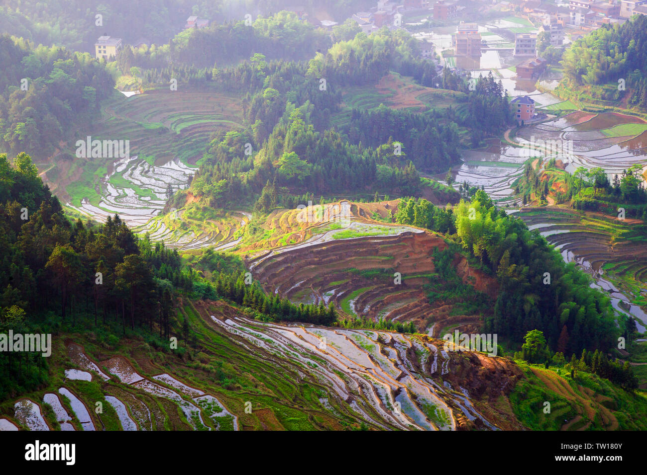 Purple Magpie terraces in Shuiche Town, Xinhua County, Loudi City, Hunan Province. Stock Photo