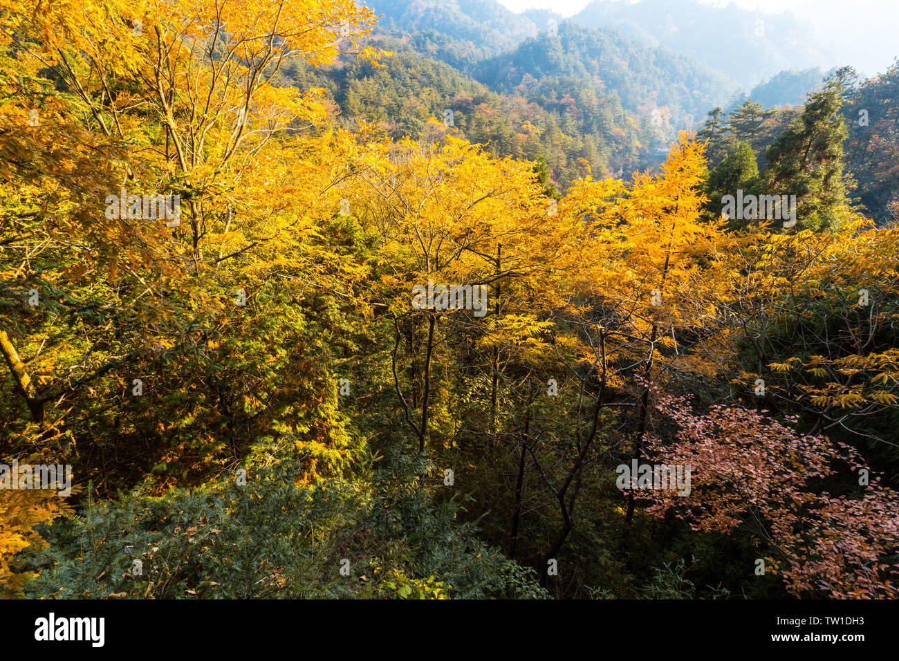 Colorful landscape photography hi-res stock photography and images - Alamy
