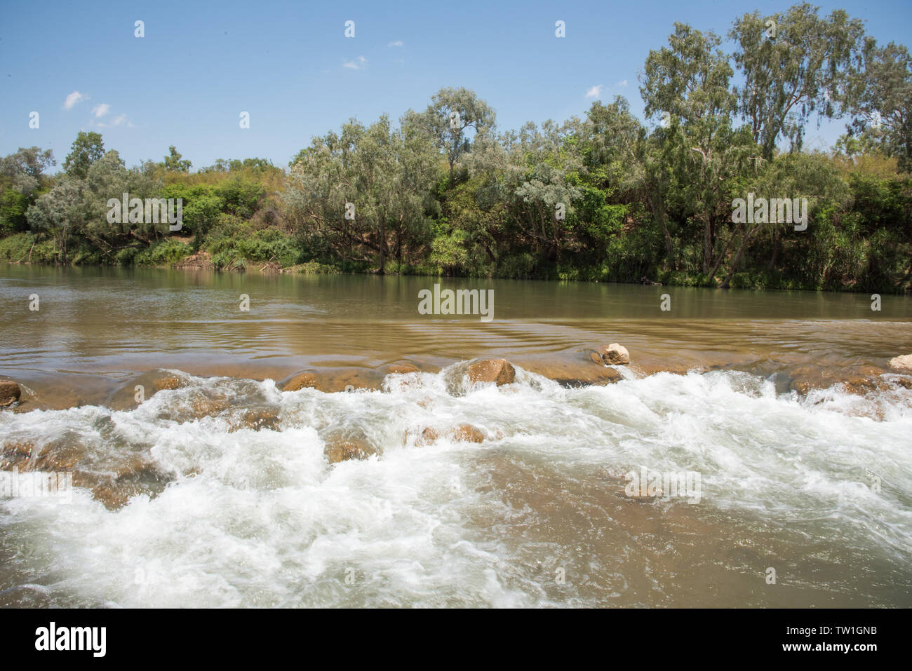Rushing Daly River waters over riverbed rocks with bushland greenery in ...
