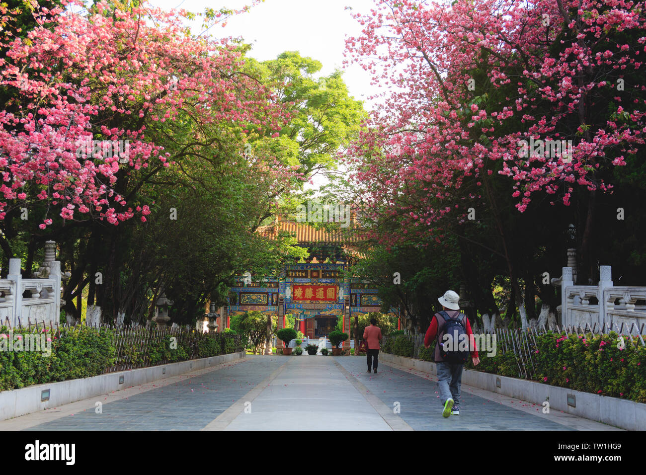 Beautiful green park hi-res stock photography and images - Alamy