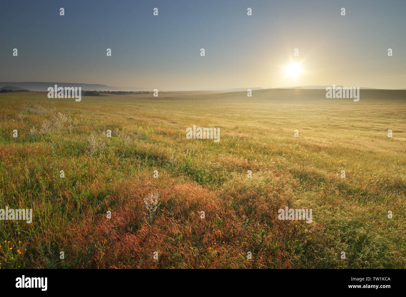 Calm nature scene hi-res stock photography and images - Alamy