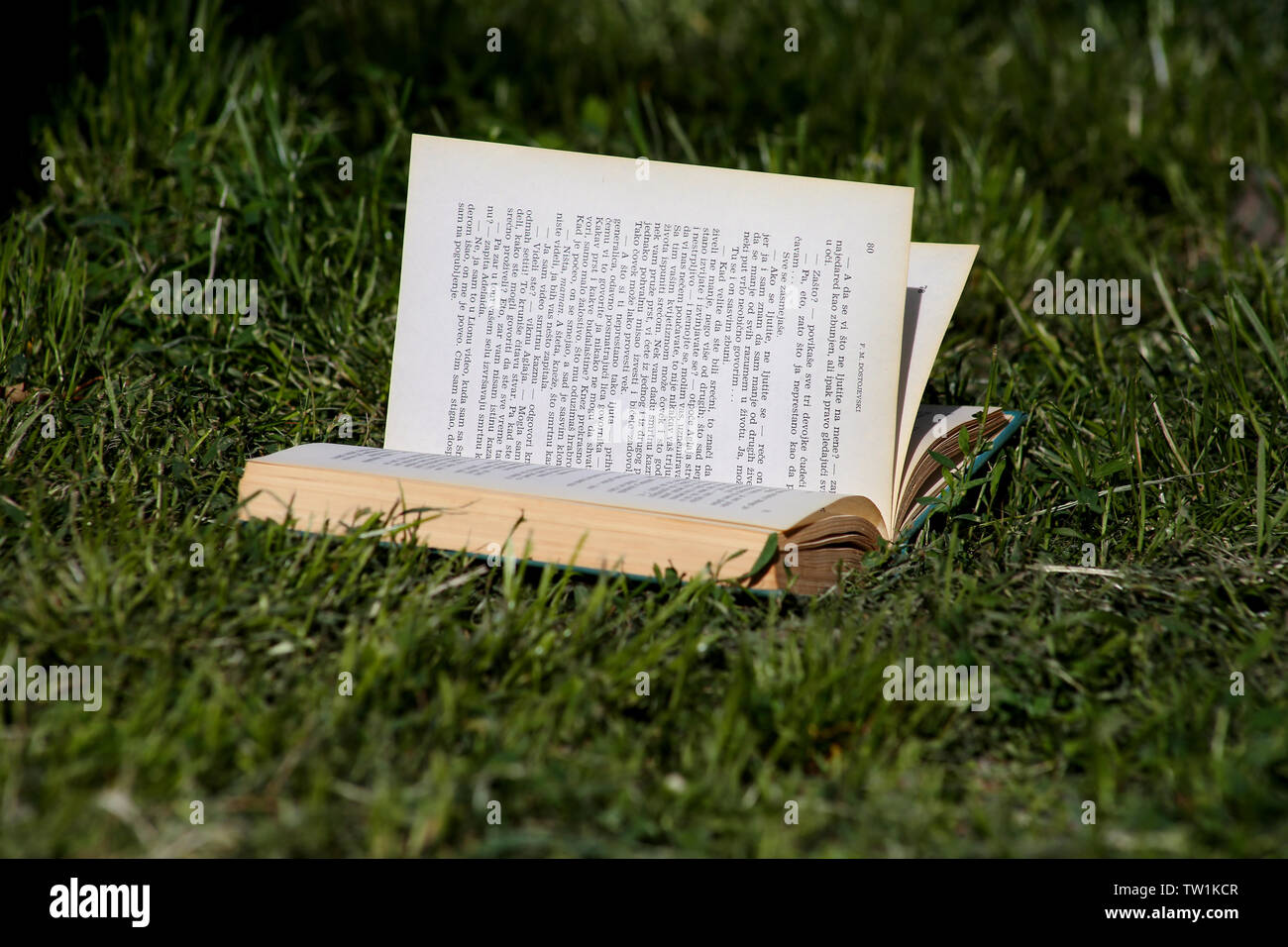 Open book on green grass in park beautiful natural environment, close