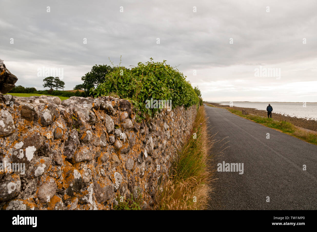Quayside walk by Medieval walls in Caernarfon, Wales Stock Photo Alamy