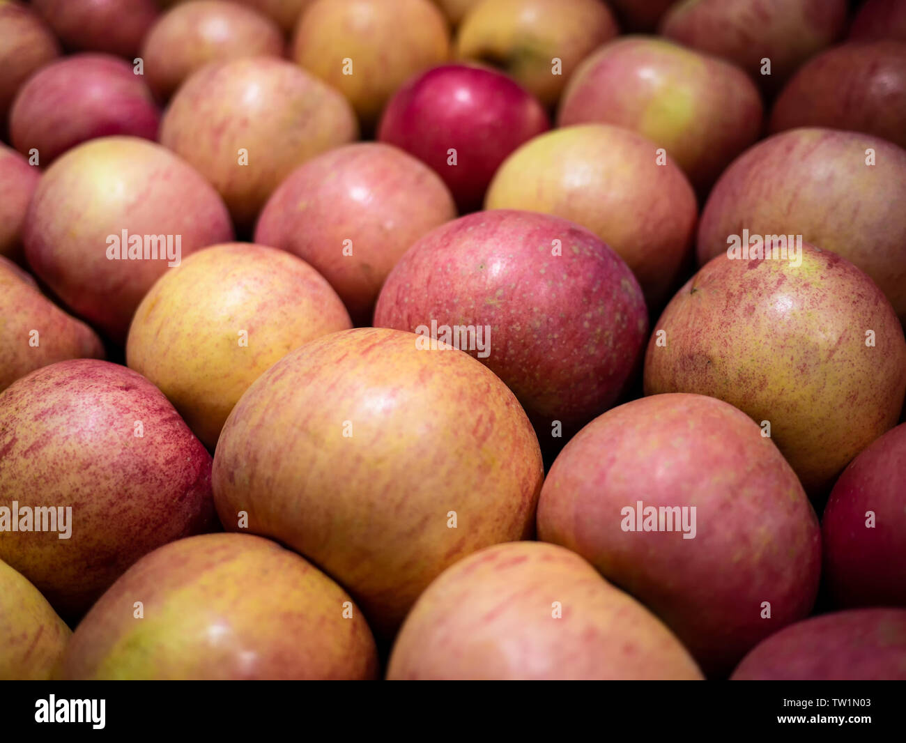 Apple on the shelf Stock Photo Alamy