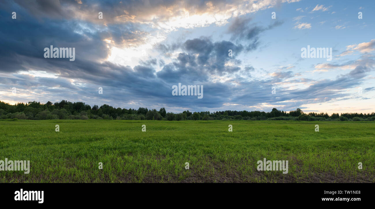Dramatic sunset on the summer field with swaying in the wind grass, contrasting light and clouds in the sky. Stock Photo
