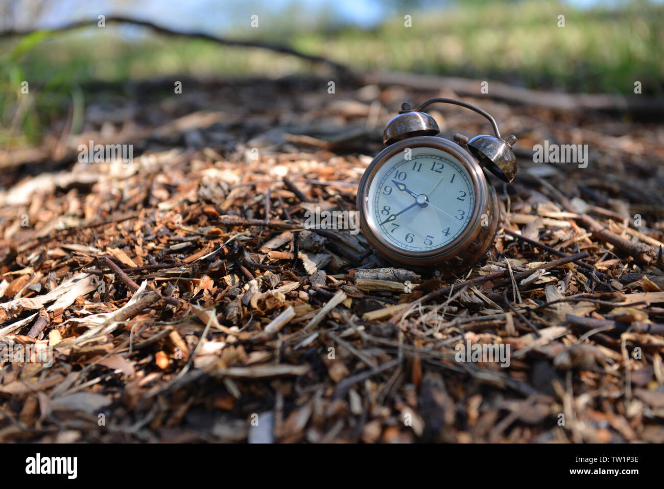 Waste time hi-res stock photography and images - Alamy