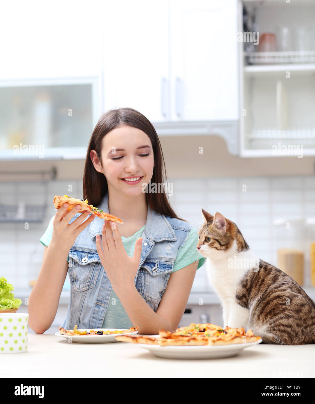 Girl eat cat. Девочка в иллюстраторе. Кот и пицца. Girl eat cat. Girl eat cats.