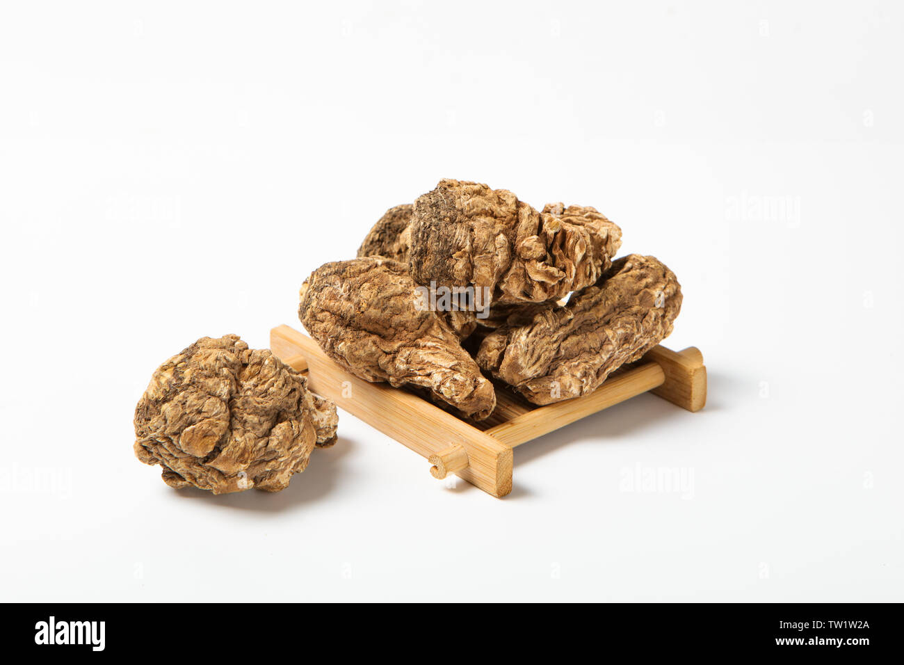 Big head of Angelica Stock Photo