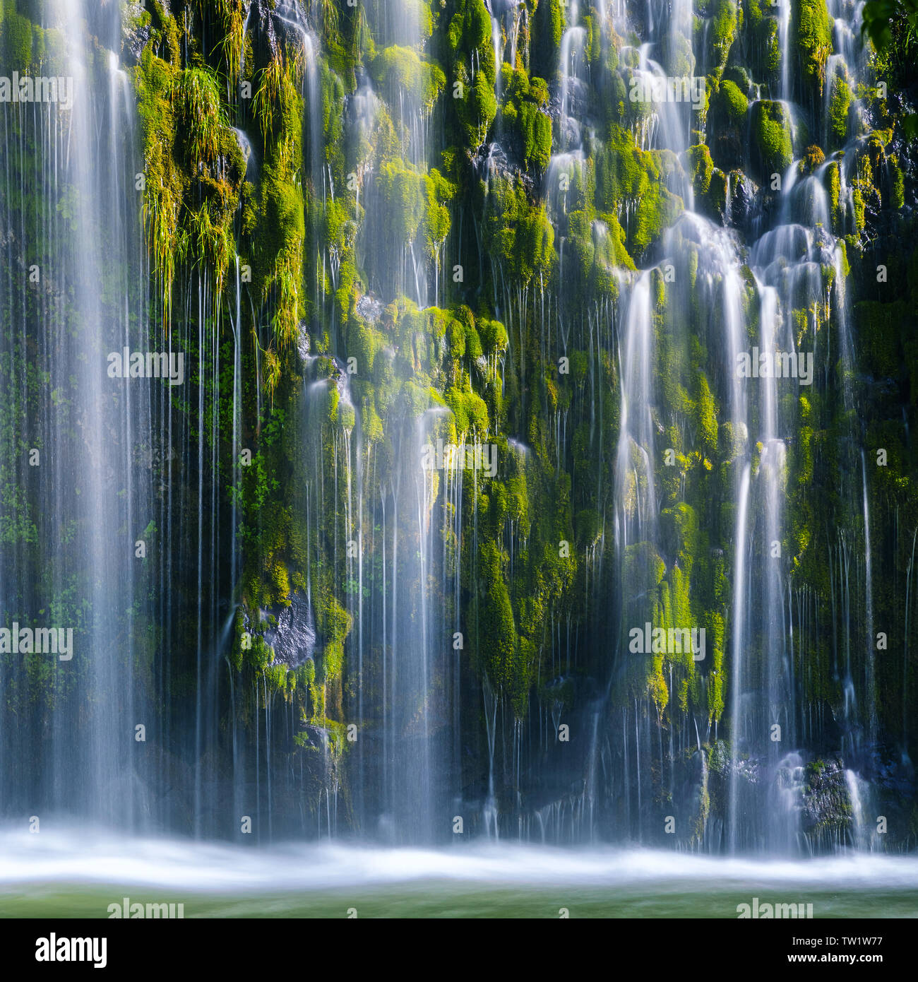 Mossbrae Falls is a waterfall flowing into the Sacramento River, in the Shasta Cascade area in Dunsmuir, California. The falls are located just south Stock Photo